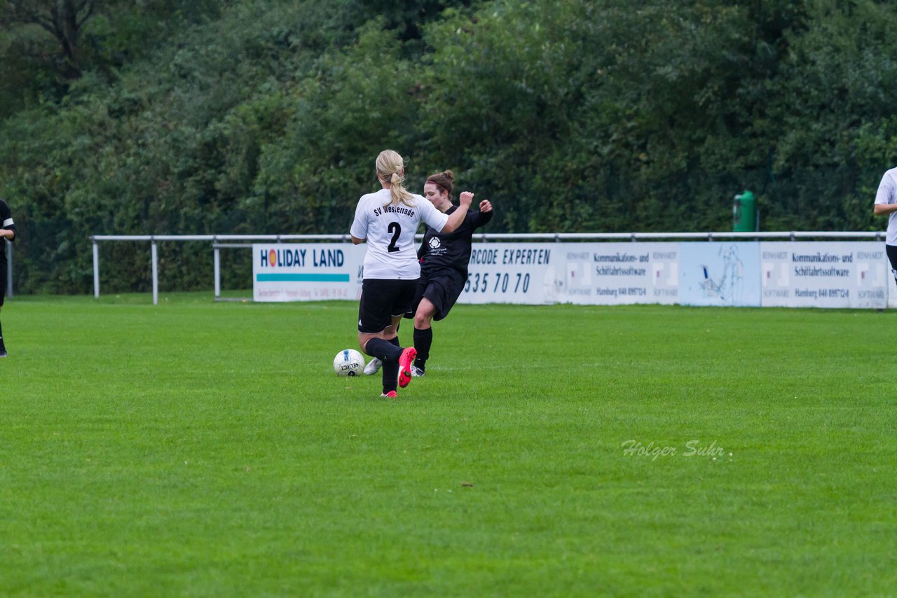 Bild 61 - Frauen SV Henstedt Ulzburg II - SV Schwarz Wei Westerrade : Ergebnis: 3:0